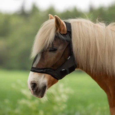 Image of Busse Fly Mask Guard Free