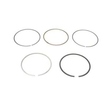Image of Piston Ring Kit KOLBENSCHMIDT 800050810000