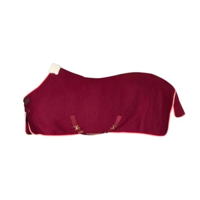 Image of Kentucky Cooler Rug PROtherm