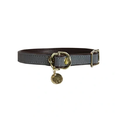 Image of Kentucky Dog Collar Loop