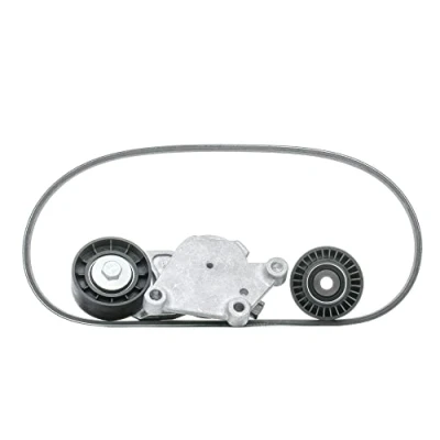Image of V Ribbed Belt Set SKF VKMA 33058