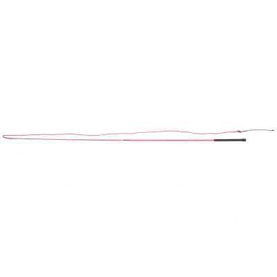 Image of QHP Divisible Lunging Whip
