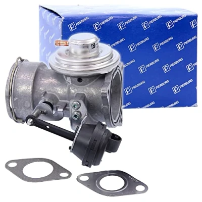 Image of EGR Valve PIERBURG 7.24809.20.0