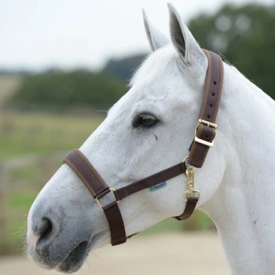 Image of Bucas Comfort Halter
