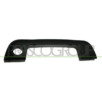 Image of Exterior Door Handle PRASCO BM0148702