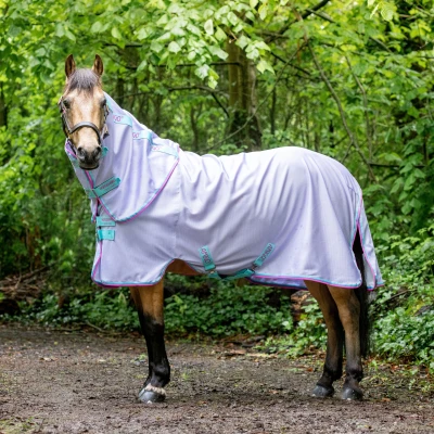 Image of Amigo Bug Rug Pony