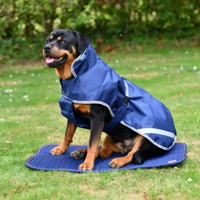Image of Bucas Therapy Dog Bed Topper