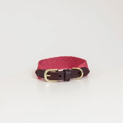 Image of Kentucky Dog collar Jacquard