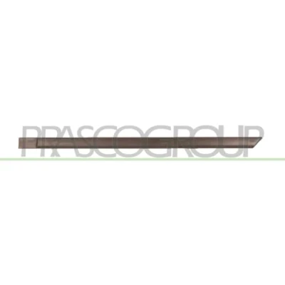 Image of Trim/Protection Strip, door PRASCO OP0131454