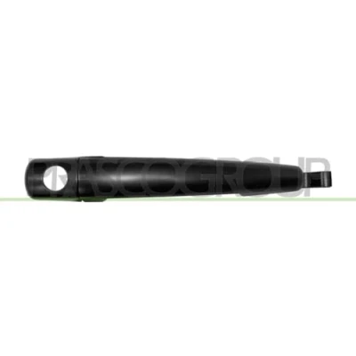 Image of Exterior Door Handle PRASCO FT9238304