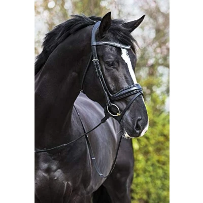 Image of Premiera &quot;Verona&quot; black anatomical bridle
