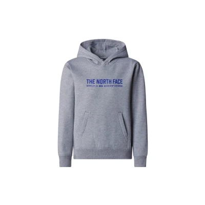 Image of The North Face Varsity Graphic Hoodie for kids, Size: Small, Tnf light grey heather