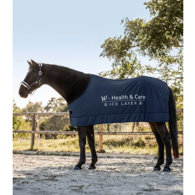 Image of Waldhausen W Health &amp; Care Ice Layer Cooler rug