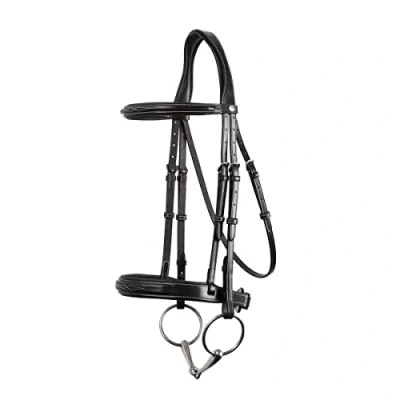 Image of Montar bridle Hunter