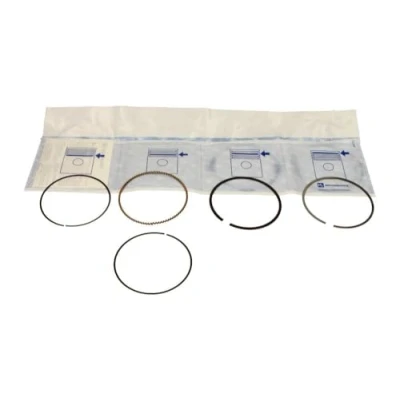 Image of Piston Ring Kit KOLBENSCHMIDT 800044810000