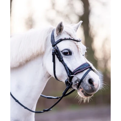 Image of HB Showtime Bridle Special A pony