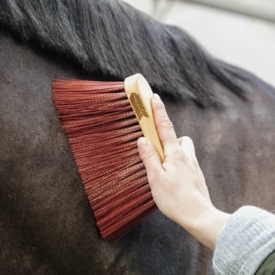 Image of Grooming Deluxe Middle Brush Long Brown