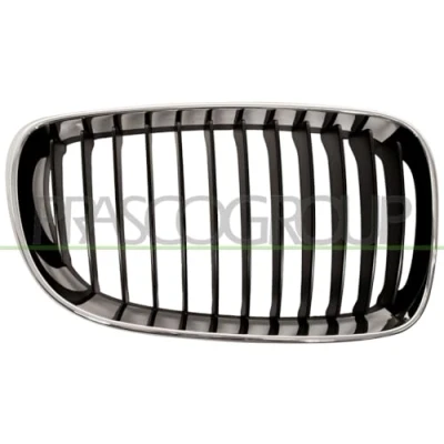 Image of Radiator Grille BLIC 6502 07 0085992PQ