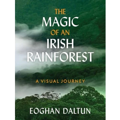 Image of The Magic of an Irish Rainforest: A Visual Journey