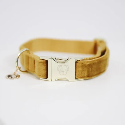 Image of Kentucky Horsewear Dog Collar Velvet Mustard XL Horse &amp; Equestrian