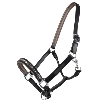 Image of QHP Leather Halter Lupine