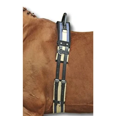 Image of HKM vaulting girth