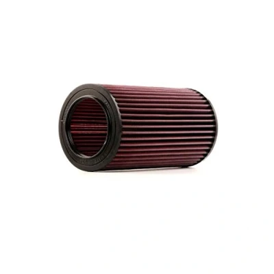 Image of Air Filter K&amp;N Filters E 2995
