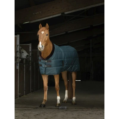 Image of EQUITHÈME Staldeken Teddy