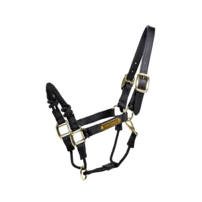 Image of Kentucky control Halter