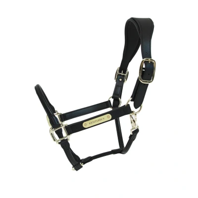 Image of Kentucky Horsewear Anatomic Leather Halter Black Full Size Horse Riding Equestrian