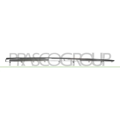 Image of Trim/Protection Strip, door PRASCO RN7501413