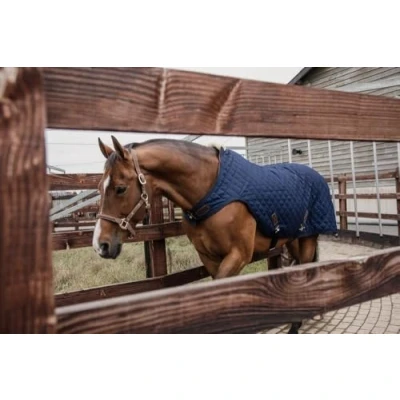 Image of Kentucky Walker Rug
