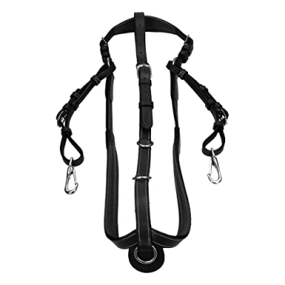 Image of Dyon Bridge Breastplate Working By Collection