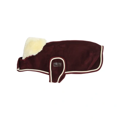 Image of Kentucky Dog coat heavy fleece