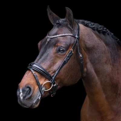 Image of Imperial Riding FW&#039;23 Bridle Olympia