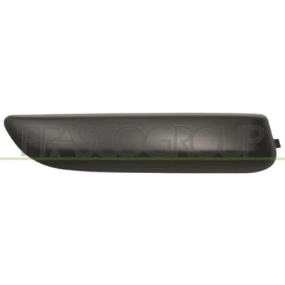 Image of Trim/Protection Strip, bumper PRASCO PG4241233
