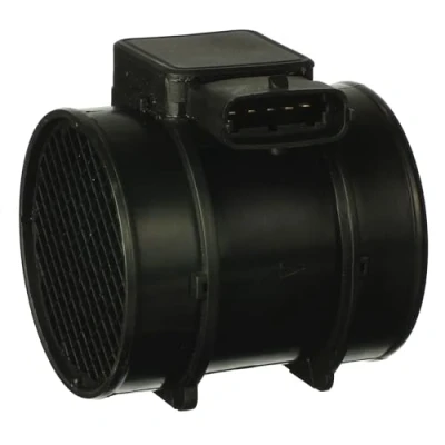 Image of Air Mass Sensor DELPHI AF10195 12B1