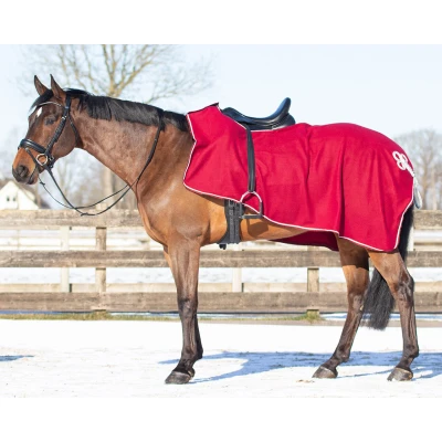Image of QHP Riding Rug Fleece Ornament