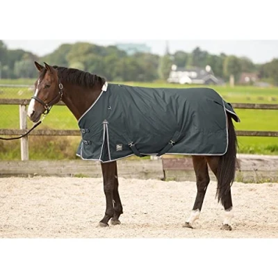 Image of Harry&#039;s Horse Outdoorrug Thor 300