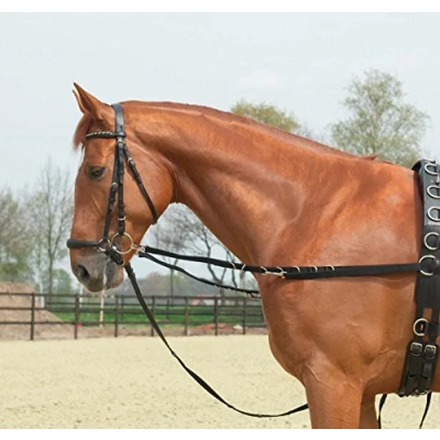 Image of Busse Side Reins Oesen Starr