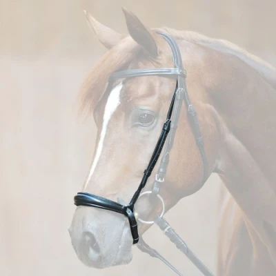 Image of Kavalkade Hanoverian Noseband