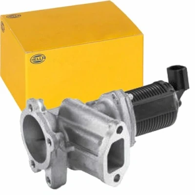 Image of EGR Valve HELLA 6NU 010 171 451