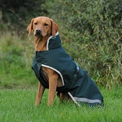 Image of Bucas Greenline Dog Blanket