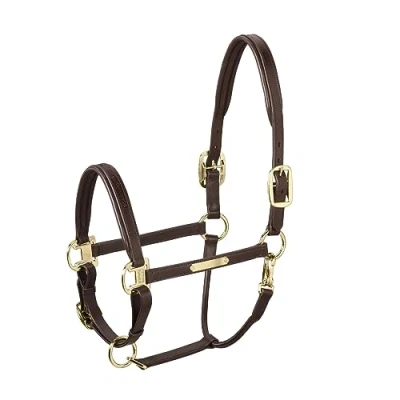 Image of Eskadron Leather Elegance Headcollar Size WB Dark Brown