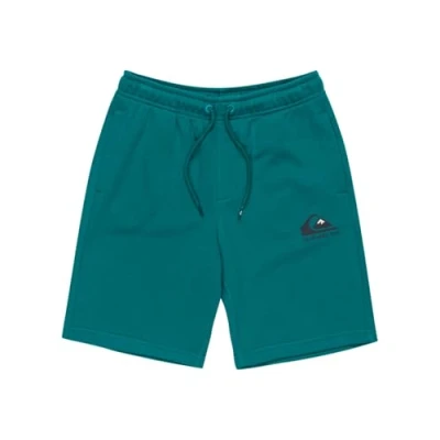 Image of Quiksilver EASY DAY Jogger Youth Tracksuit bottoms for kids, Size: 8y, Teal green