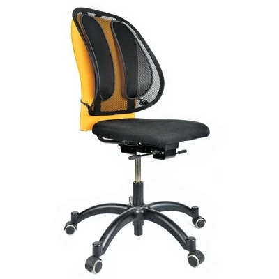 Image of Fellowes Suites Mesh Back Support for Office Chair with Tri Tensioning, Graphite, Standard, 9191301