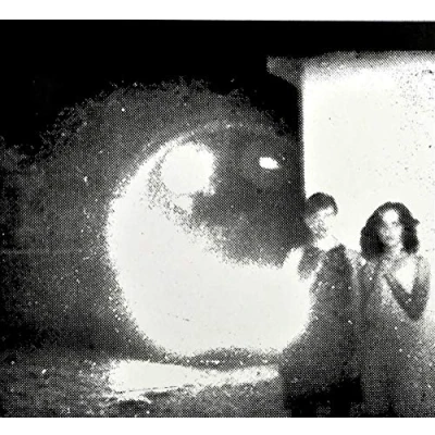 Image of Tamer Animals