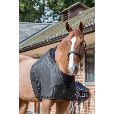 Image of LeMieux anti rub bib