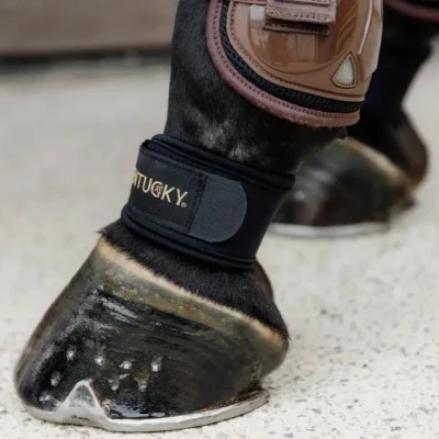 Image of Kentucky Horsewear Pastern Wrap Horse Riding Equestrian
