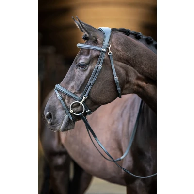 Image of LeMieux Work bridle